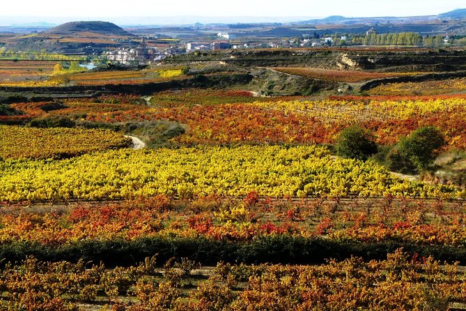 4 Day Basque Country Tour: San Sebastian, Biarritz, Bilbao and Rioja - Who this tour fits best (and who should think twice)