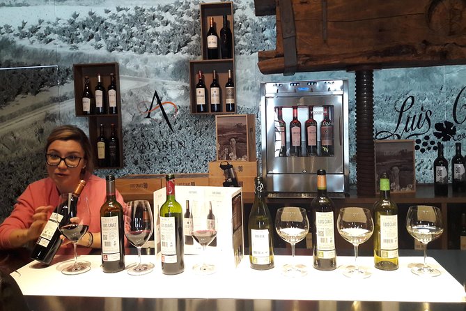 5 full days in the Basque Country - Day 4 in Rioja: tastings, Frank Gehry’s winery, medieval Laguardia, and wine-heavy Haro