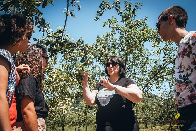 "Basque Cider House" guided tour + meal from San Sebastian - Where Basque cider feels like a community ritual