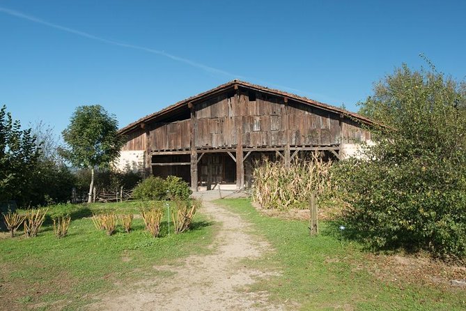 " Basque Farm House & Cider house" tour + meal from San Sebastian - Caserio Museo Igartubeiti: a working farmhouse museum you can picture