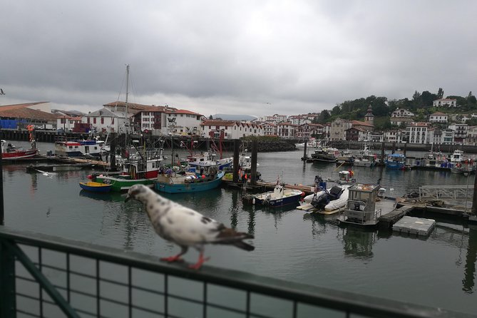 Biarritz & La Côte Basque Private tour - Should you book Biarritz & La Côte Basque Private tour?