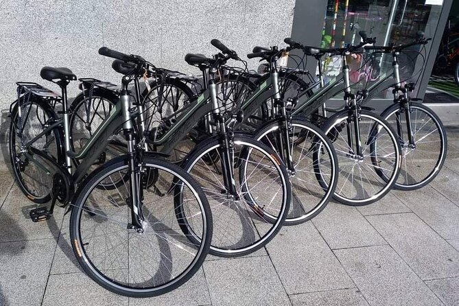 Bike Tour in San Sebastián with FREE pintxo and drink! - The bike path flow: why the ride itself is the real comfort