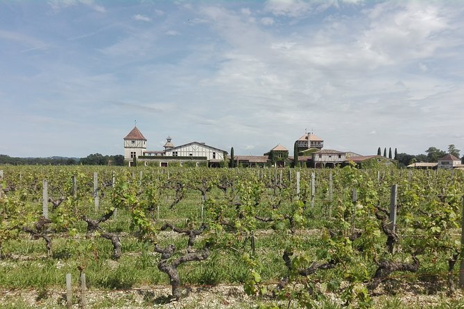 Bordeaux Uncorked: Private Premium Wine Tour from San Sebastian - Why This Bordeaux Day Tour Works So Well From San Sebastián