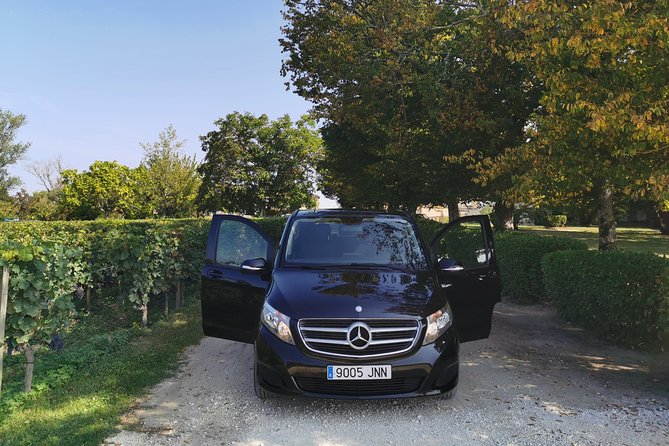 Bordeaux Uncorked: Private Premium Wine Tour from San Sebastian - Château de Lussac: A 17th-Century Family Estate and Grand Cru Classé Tastings