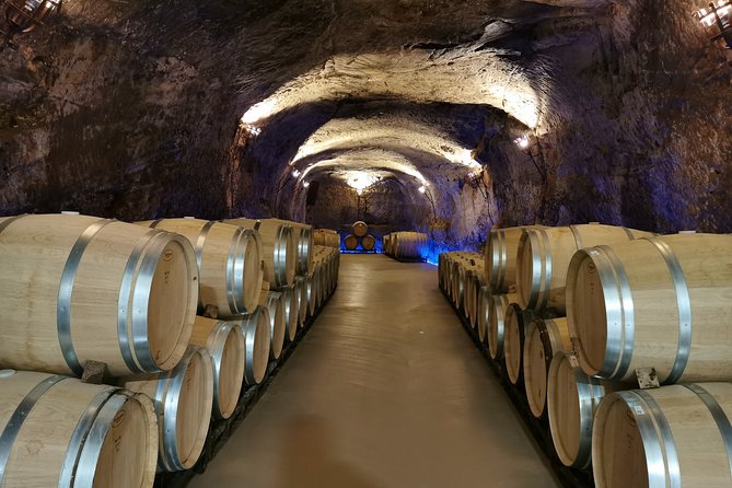 Bordeaux Uncorked: Private Premium Wine Tour from San Sebastian - Point De Vue Puyguilhem Lunch: Food, Setting, and Three Local Wines