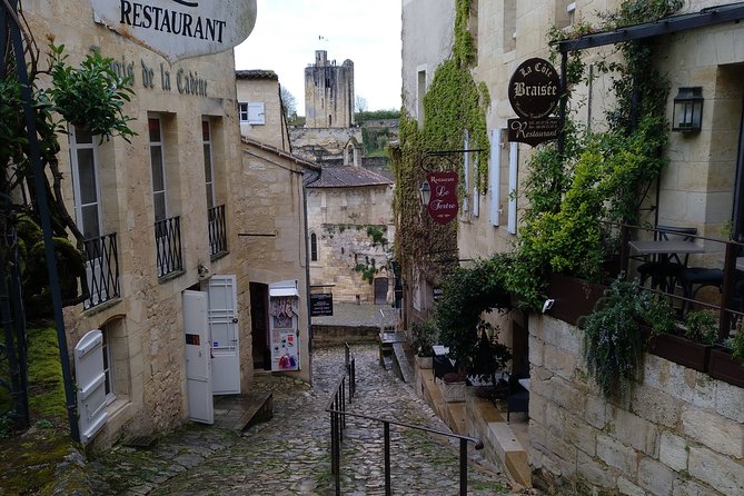 Bordeaux Uncorked: Private Premium Wine Tour from San Sebastian - What You’re Really Paying For (and Whether It’s Good Value)