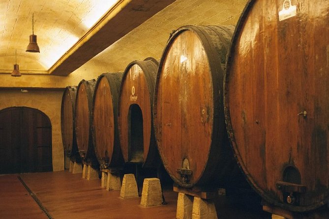 Cider House Experience From San Sebastián - Lunch in a cider-house menu: what you’ll eat and why it fits