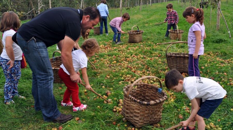 Cider House Experience From San Sebastián - Who should book this cider-house experience