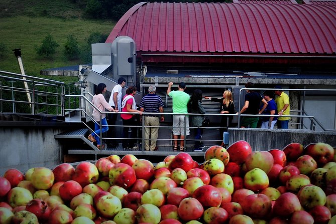 Cider House Experience From San Sebastián - The orchard walk and what you’ll learn before you taste