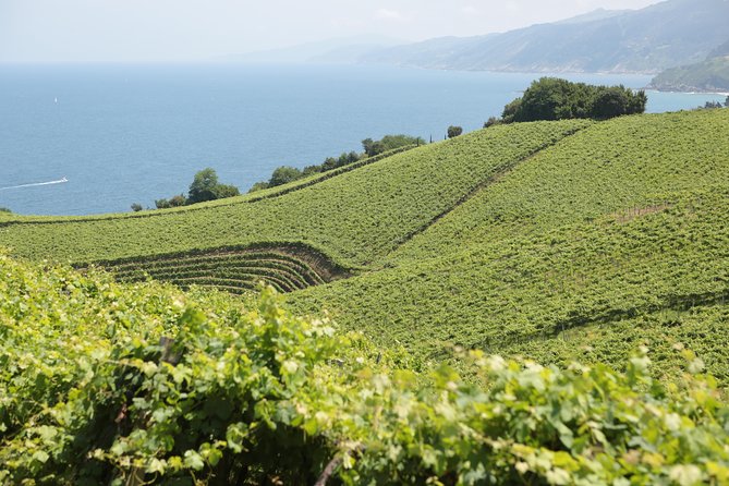 Coast, fish and txakoli wine - Morning breakfast at a beachside chef: where the day starts