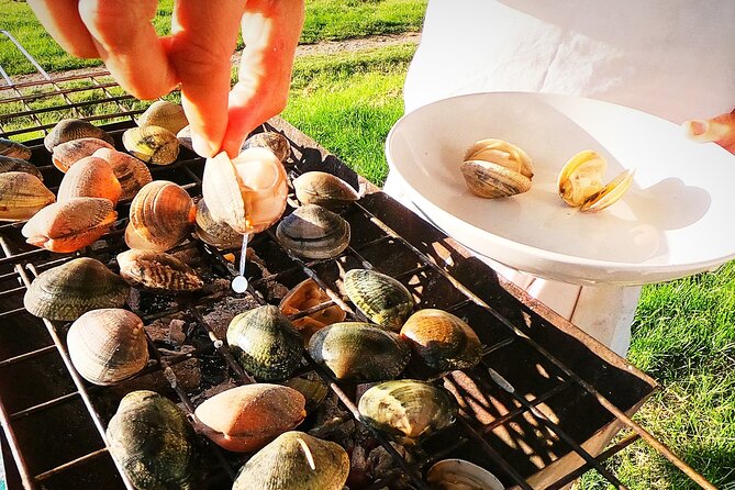 Coast, fish and txakoli wine - Price and value: is $879.26 per person worth it?