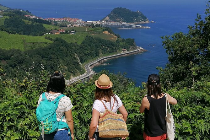 Coastal "Winery Camino Trail" Walking Tour from San Sebastian - Quick Take