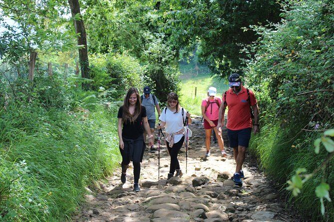 Coastal "Winery Camino Trail" Walking Tour from San Sebastian - Coastal Winery + Camino Walking: What This Day Feels Like