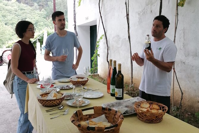 Coastal "Winery Camino Trail" Walking Tour from San Sebastian - Stop in Zarautz: Beach Air, Local Market Snacks, and Medieval Town Views