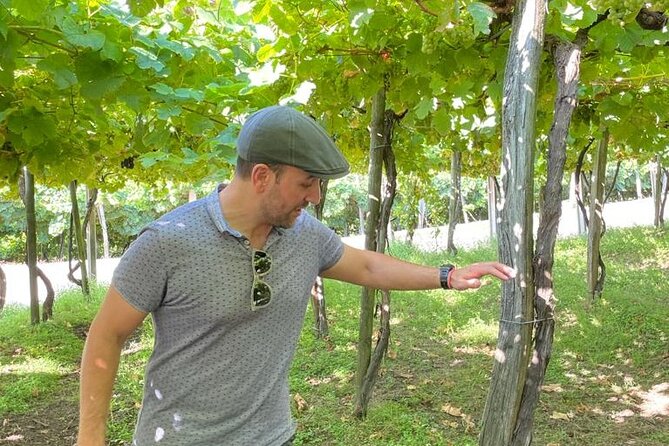 Coastal "Winery Camino Trail" Walking Tour from San Sebastian - Santa Barbara Baseliza and the Camino-Linked Roman Path to Getaria