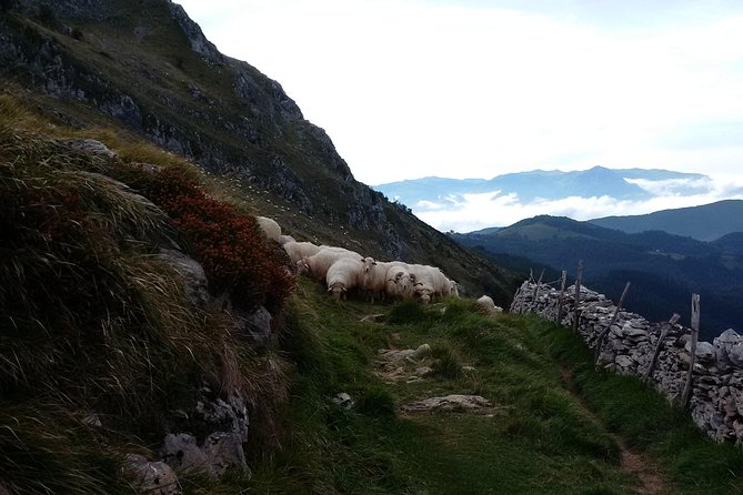 Countryside & Coast Private tour - Tolosa and Mount Ernio: a Basque village morning with big views