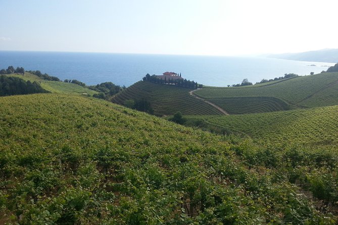 Countryside & Coast Private tour - Who should book this private countryside and coast tour