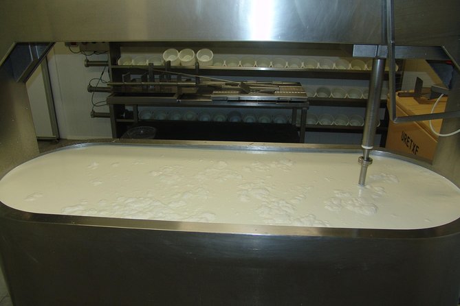 Discover the Art of Idiazabal Cheese in the Basque Country - Idiazabal cheese: why this tour is about more than snacks