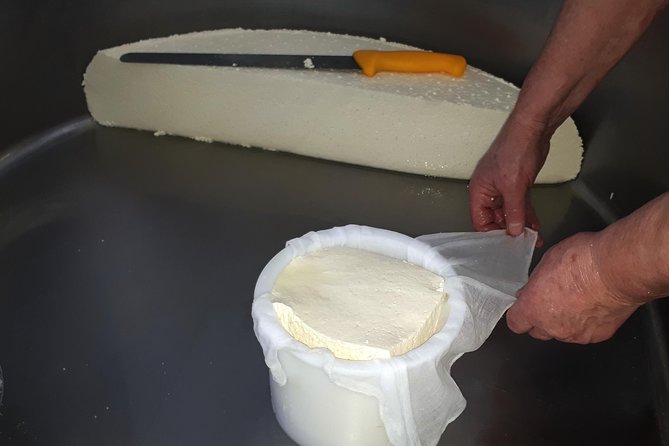 Discover the Art of Idiazabal Cheese in the Basque Country - Getting there smoothly: San Sebastián pickup and a small-group pace