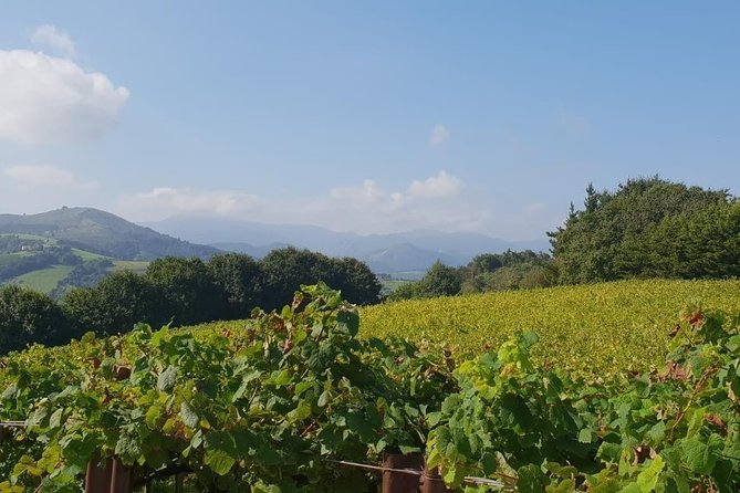 Discover the Essence of Txakoli Wine from San Sebastian - The Guides Make It Worth It