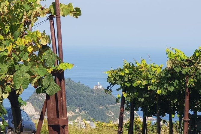 Discover the Essence of Txakoli Wine from San Sebastian - How Much Wine Are You Getting?