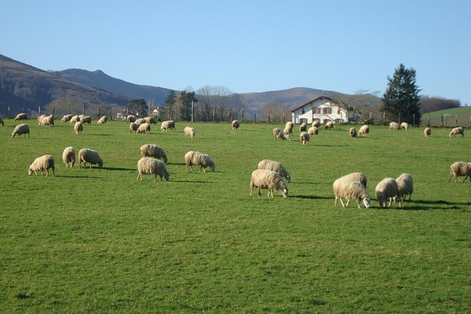 French Basque Countryside Private tour - The guide factor: baskme (Andoni) and a more local rhythm