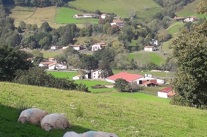 French-Basque Countryside Private tour Discover the hidden beauty of Pyrenees - Ainhoa: jai-alai by the church and a cemetery of disc-topped monuments