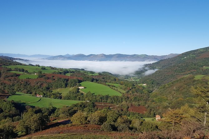 French Basque Countryside Tour from San Sebastian - Espelette peppers: the smell of summer and the story behind the spice