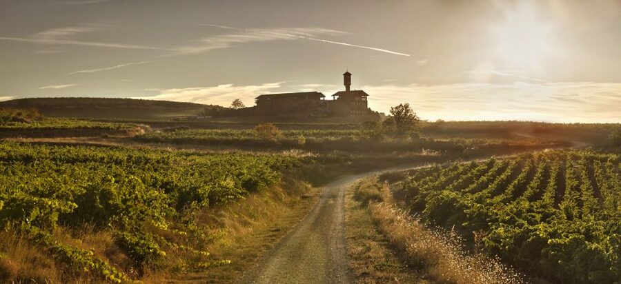 From San Sebastian/Bilbao/Vitoria: La Rioja Wineries Tour - La Rioja’s wine route in one focused day