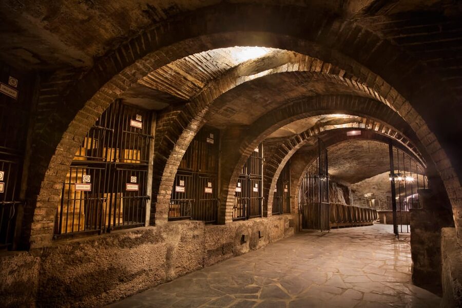 From San Sebastian/Bilbao/Vitoria: La Rioja Wineries Tour - Tastings, crianzas vs reservas, and learning to read the terroir