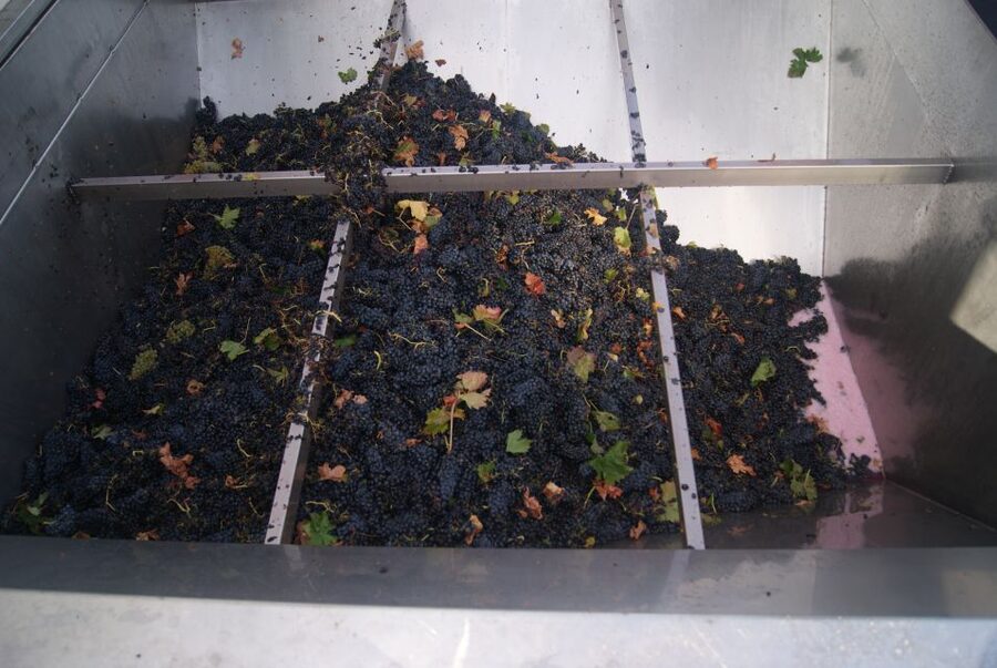 From San Sebastian/Bilbao/Vitoria: La Rioja Wineries Tour - FAQ