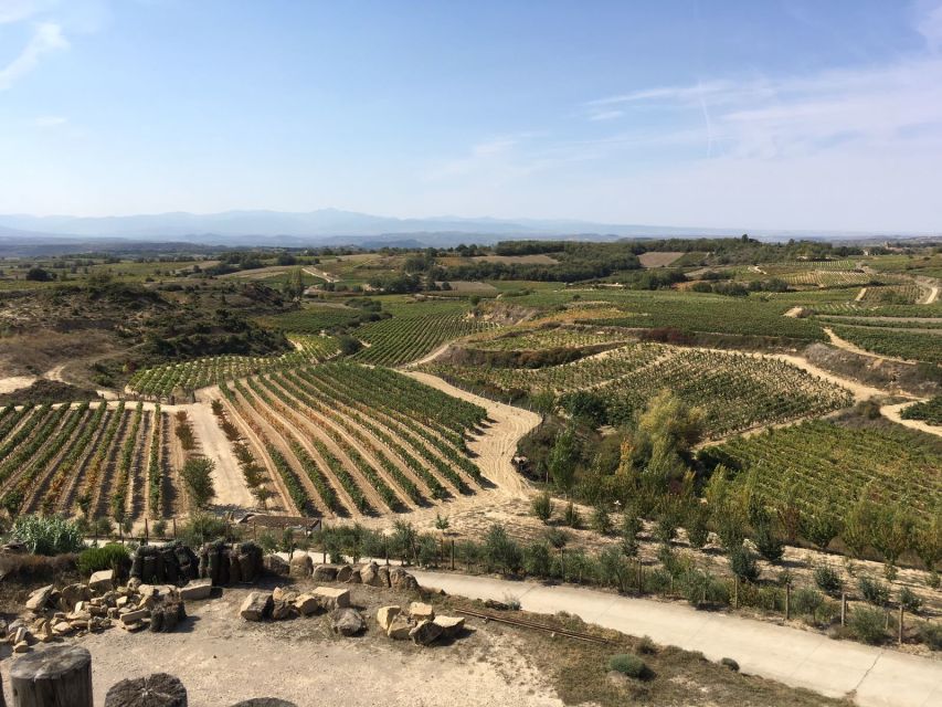 From San Sebastian/Bilbao/Vitoria: Rioja Wine Tour w/ Lunch - Rioja Wine Tour With Lunch: What the Day Feels Like