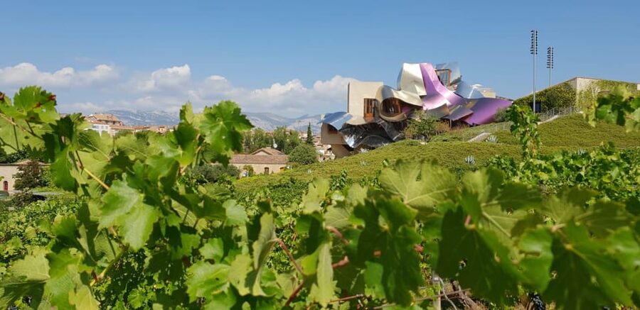 From San Sebastian/Bilbao/Vitoria: Rioja Wine Tour w/ Lunch - Wine Tastings: How Rioja Flavor Gets Built in the Glass