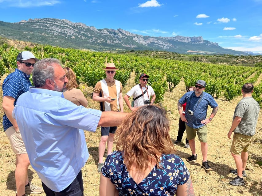 From San Sebastian/Bilbao/Vitoria: Rioja Wine Tour w/ Lunch - Private Transport and the Pace: How This Fits a Real Day
