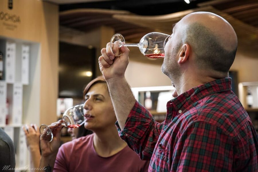 From San Sebastian/Bilbao/Vitoria: Rioja Wine Tour w/ Lunch - Who This Rioja Tour Suits Best (And Who Should Skip It)