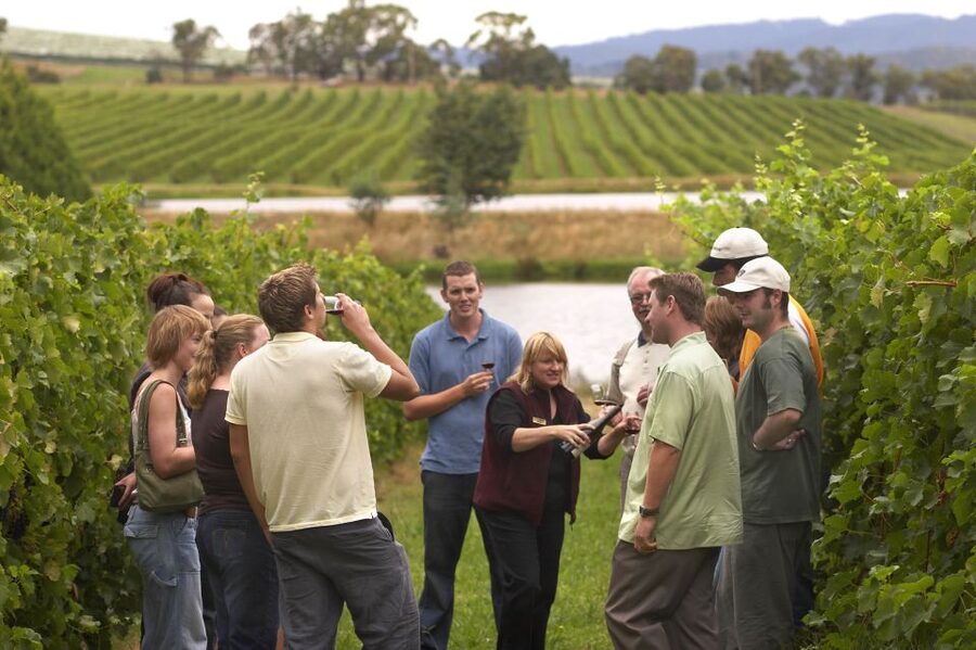 From San Sebastian/Bilbao/Vitoria: Rioja Wine Tour w/ Lunch - Family Winery Visit: Terroir, Harvest Timing, and Barrel Aging