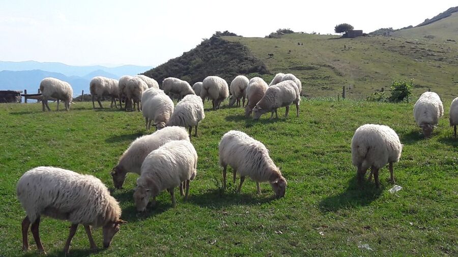 From San Sebastian: French-Basque Countryside Private Tour - Sare at the base of La Rhune, where preservation matters