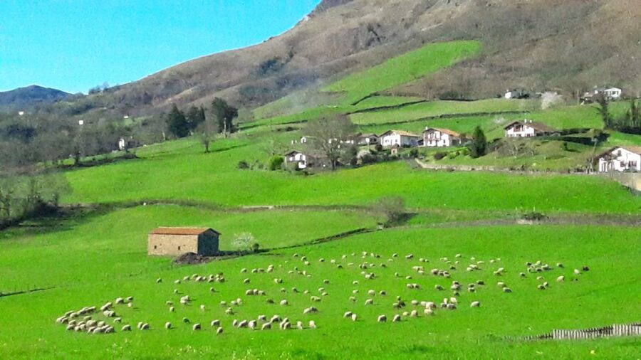 From San Sebastian: French-Basque Countryside Private Tour - Starting at Saint-Jean-Pied-de-Port, the St. James Way checkpoint
