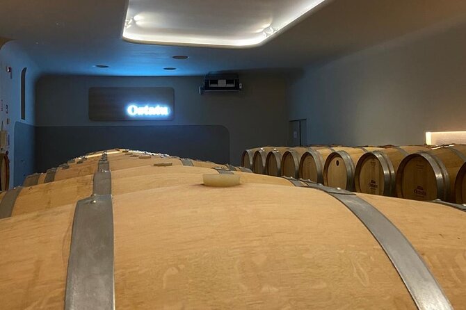 Full-Day Private Wine Tasting Tour in La Rioja with lunch - Marqués de Riscal and Fran Gehry’s architecture viewpoint