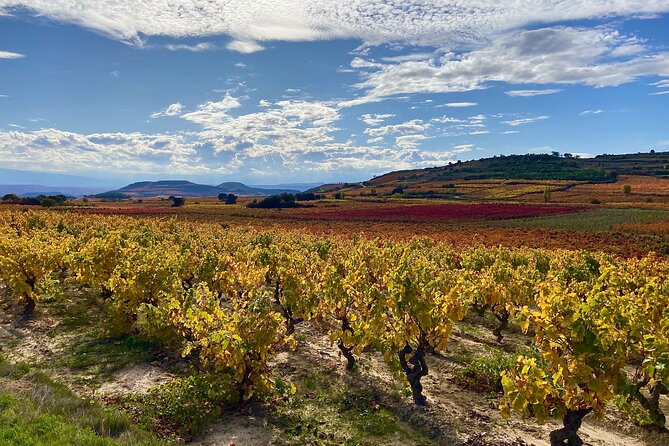 Full-Day Private Wine Tasting Tour in La Rioja with lunch - The drive rhythm: a long day that still feels manageable