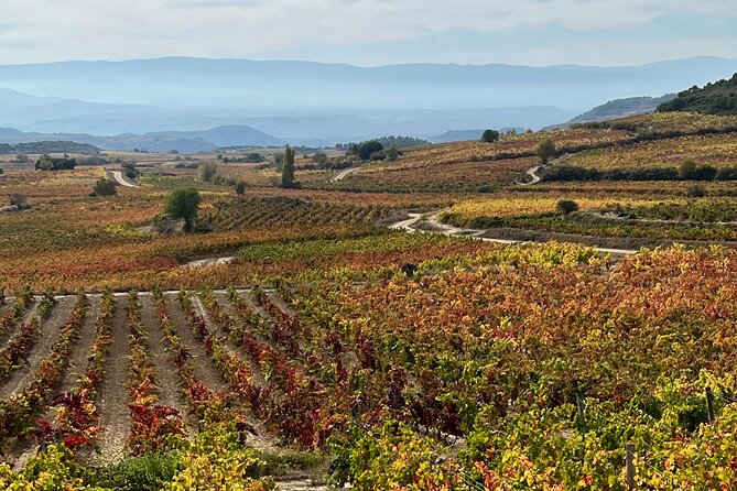Full Day Tasting The Unknown Rioja Wine Region - San Sebastián to Rioja: the drive sets the tone