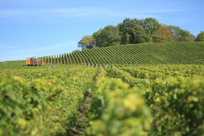 Full Rioja Wine Tour with Lunch from San Sebastian Private Tour - Key points before you go