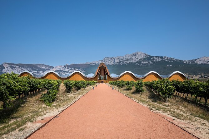 Full Rioja Wine Tour with Lunch from San Sebastian Private Tour - Price and value: what $470.05 per person buys you