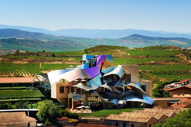 Full Rioja Wine Tour with Lunch from San Sebastian Private Tour - Who this Rioja day suits best