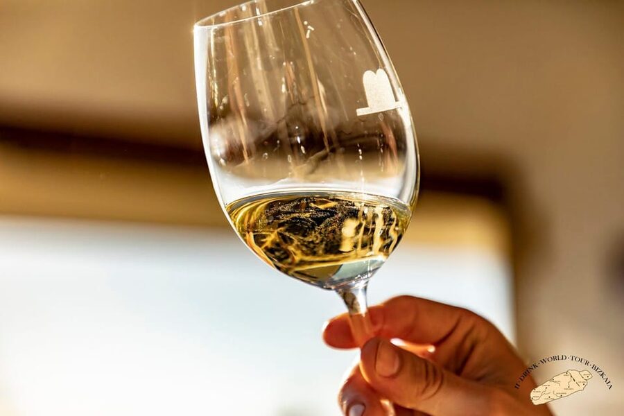 Getaria Txakoli wine tour from San Sebastian - What to Do Before and After: Make the Day Fit Your Food Plan