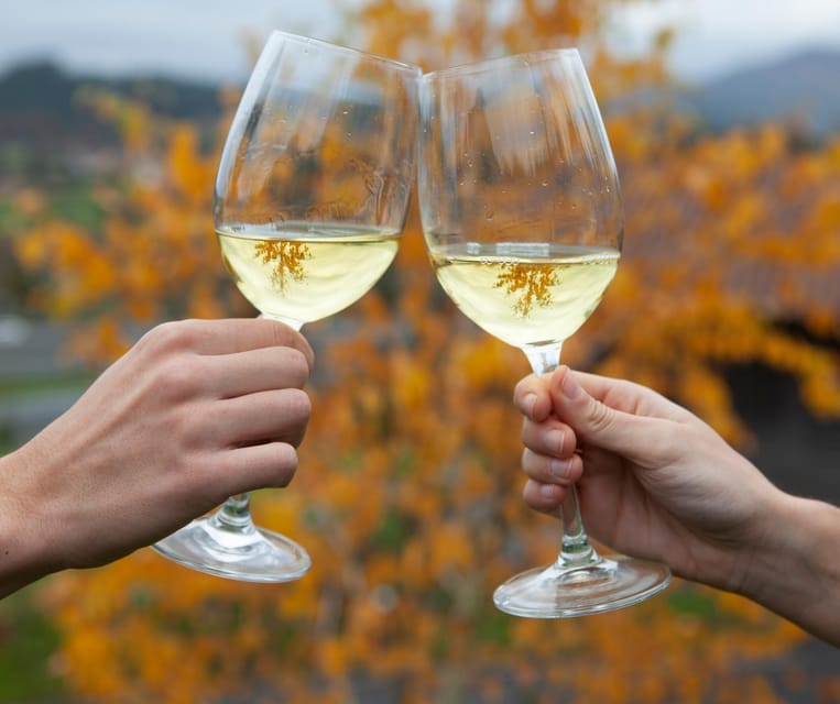 Getaria Txakoli wine tour from San Sebastian - The Guided Txakoli Tasting: Styles, Pairing, and Local Aperitif