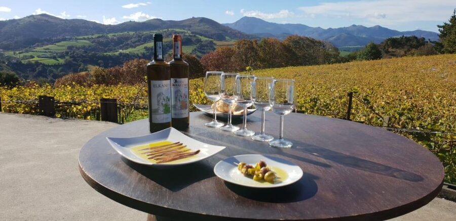 Getaria Txakoli wine tour from San Sebastian - Guides, Language, and the Human Touch (Yes, It’s Part of the Value)