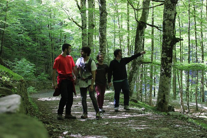 Hike from San Sebastian to San Pedro across St James Way - Key highlights to look forward to