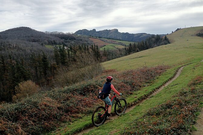 Mountain Bike Small Group Tour in San Sebastian - Key Highlights You’ll Actually Care About