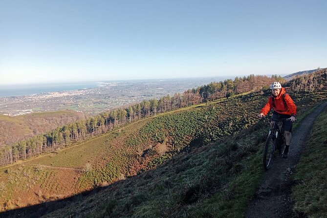 Mountain Bike Small Group Tour in San Sebastian - Starting Point at Marina Kalea: Quick to Find, Easy to Return